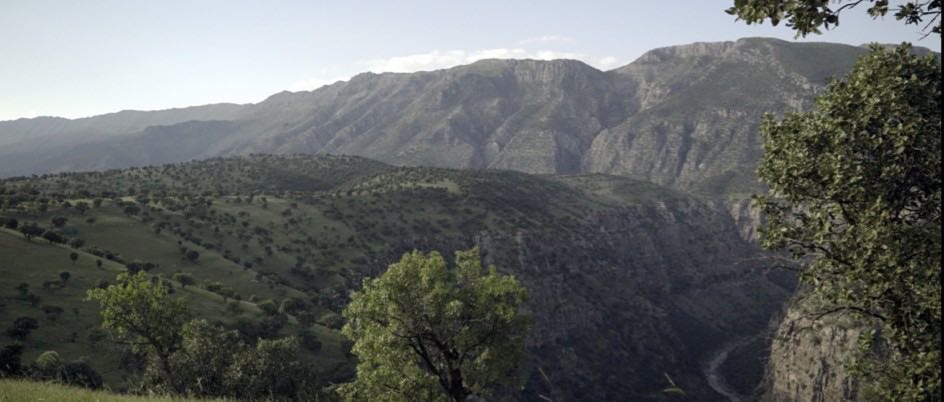 Kürt yönetmene ‘en iyi film’ ödülü